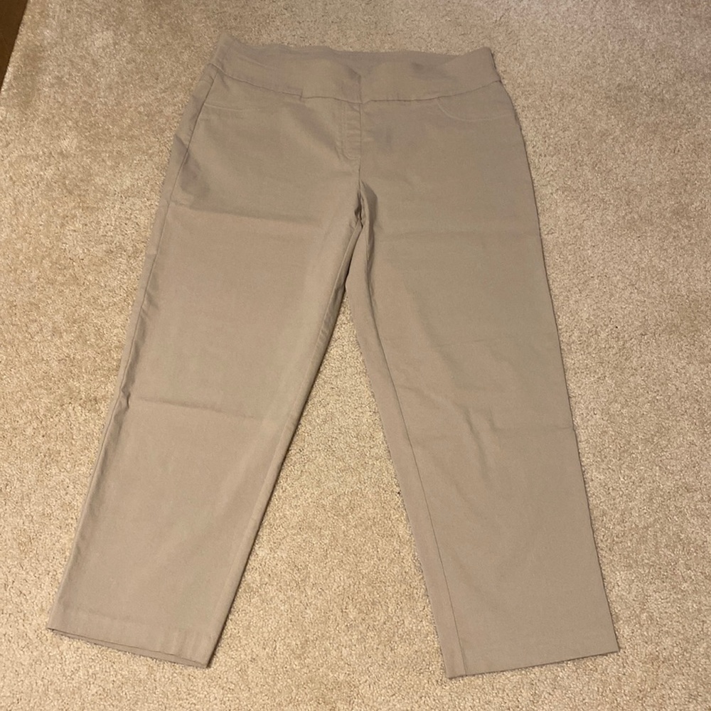 Ruby Rd. pull on straight leg pant in Khaki. Women’s size 20W.